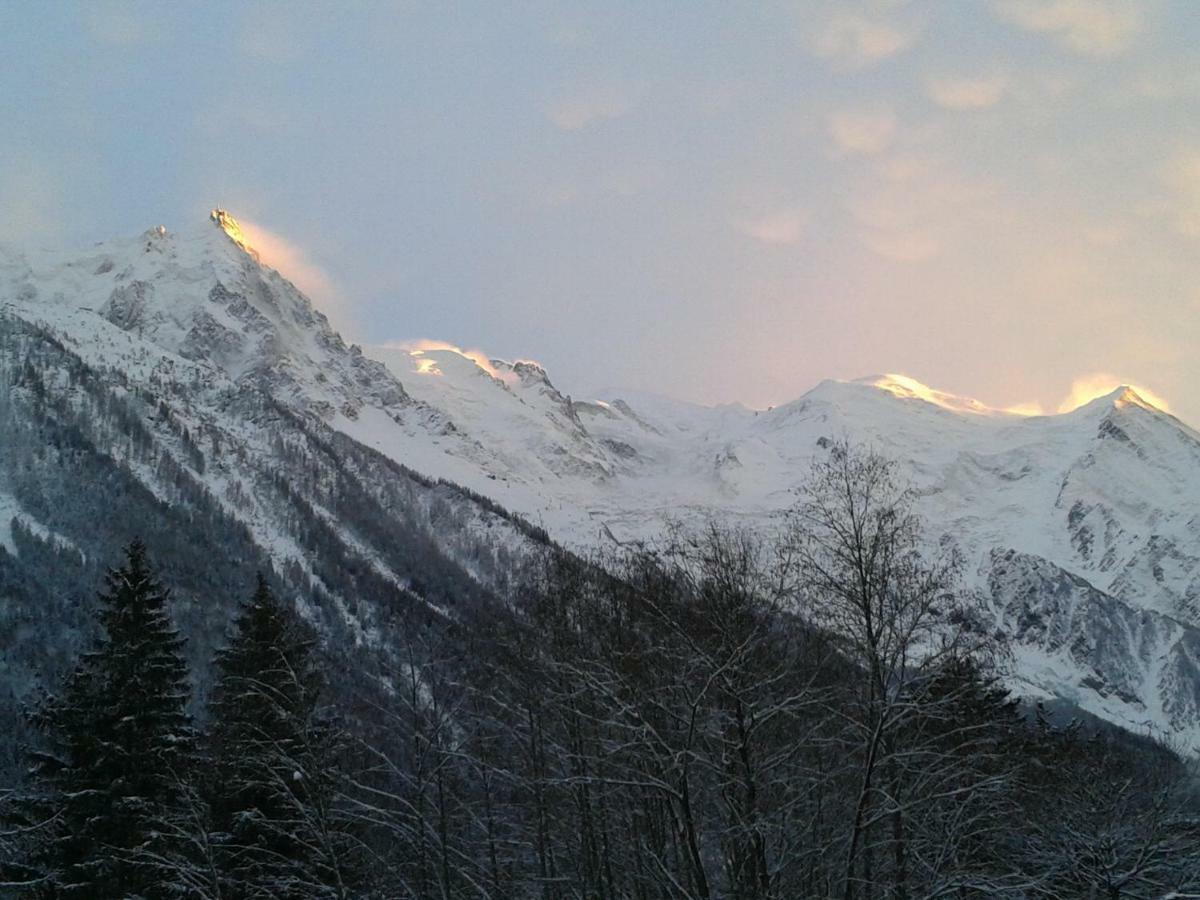 Appartement Capucine Chamonix Kültér fotó